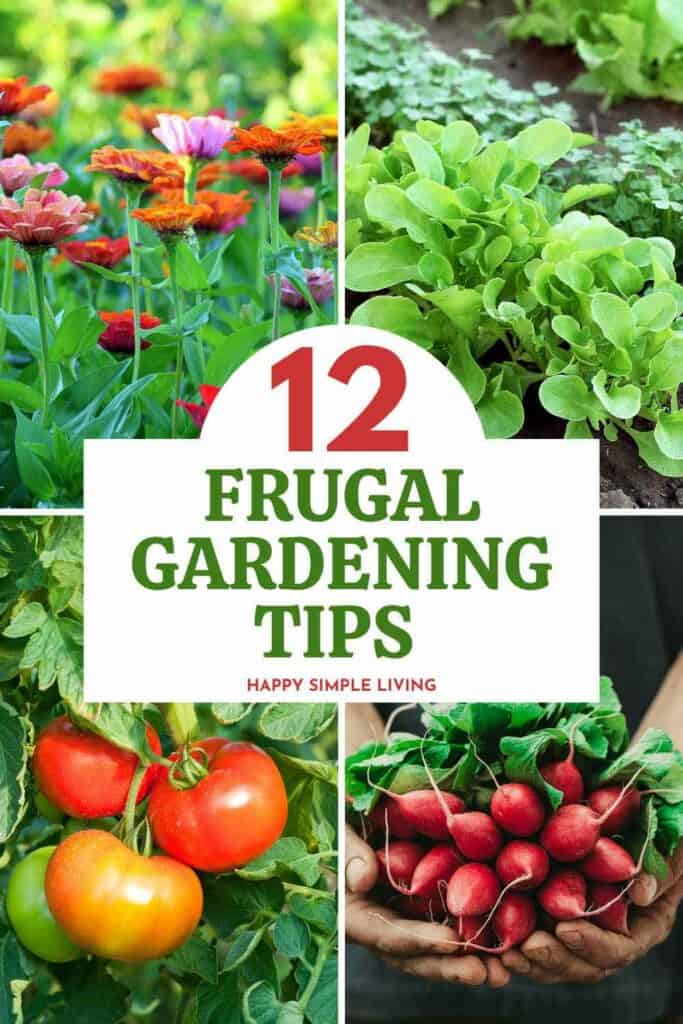 Split image with colorful flowers, lettuce, tomatoes, and a person holding radishes. Central text reads 12 Frugal Gardening Tips with smaller text Happy Simple Living.