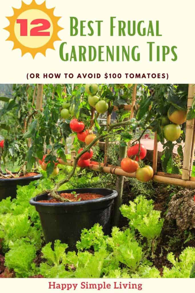 The image is a promotional poster titled 12 Best Frugal Gardening Tips (or how to avoid $100 tomatoes) with an illustration of tomato plants in pots and leafy greens below. The bottom reads Happy Simple Living.