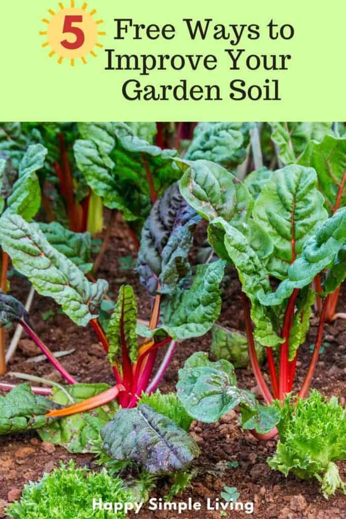 A garden bed with vibrant leafy greens and colorful chard stems. The text above reads, 5 Free Ways to Improve Your Garden Soil, with Happy Simple Living at the bottom.