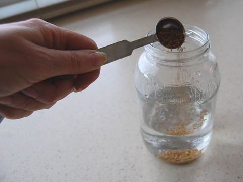 sprouts3 Adding alfalfa seeds to a jar of water.